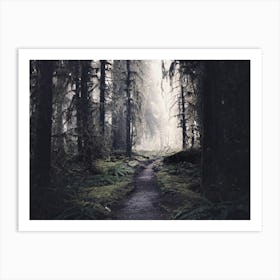 Finding Heaven - Olympic National Park Forest Art Print