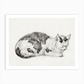 Lying Cat (1828), Jean Bernard Art Print