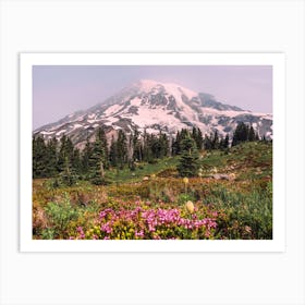 Wildflowers At Mount Rainier Art Print