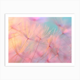 Dandelion 16 Art Print