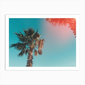 Palm Trees On The Beach Art Print