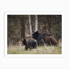 Black Bear Family Art Print