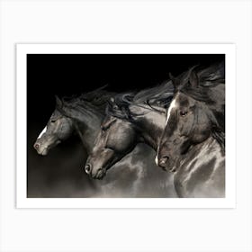 Three Horses Art Print