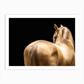 Golden horse - Ardennes Belgian photo print - moody animal photography art Art Print