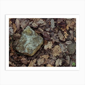 Rock In The Woods 20201231 26ppub Art Print