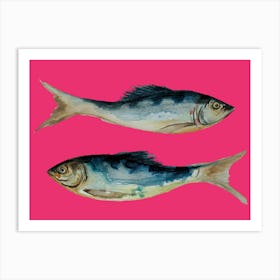 Hot Pink Fish Art Print