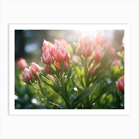 Tulips In The Sun Art Print