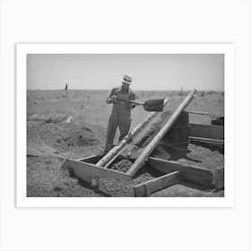 Untitled Photo, Possibly Related To Mr, Browning And His Team, He Is A Fsa (Farm Security Administration) Art Print