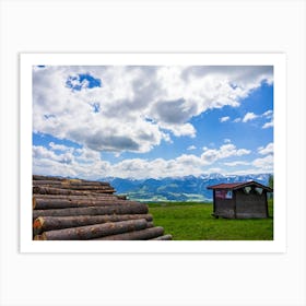 Logs In The Mountains Art Print