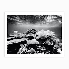 Black And White Coral Reef 1 Art Print