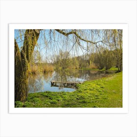 Willow Tree In The Park Art Print