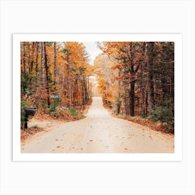 Country Lane Art Print