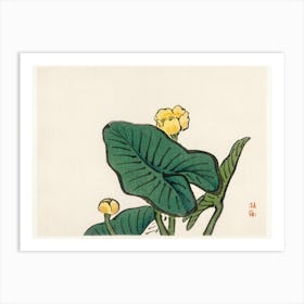 Water Lily, Kōno Bairei Art Print