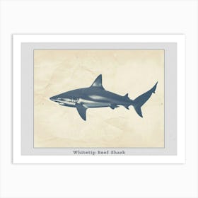 Whitetip Reef Shark Shark Silhouette 5 Poster Art Print