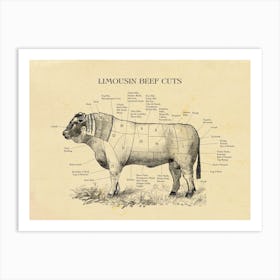 Limousin Beef Cuts Butcher Cuts Chart Art Print