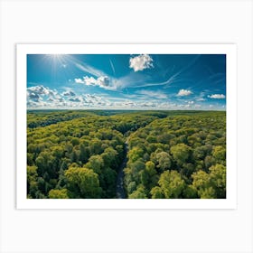 Aerial View Capturing The Vibrant Canvas Of A Lush Green Forest In Springtime Canopy Of Dense Reju (5) Art Print