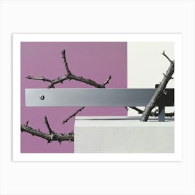 Tree Branches On A Wall Art Print