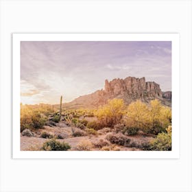 Superstition Desert View Art Print