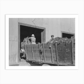 Unloading Carrots At Packing Plant, Pharr, Texas By Russell Lee Art Print