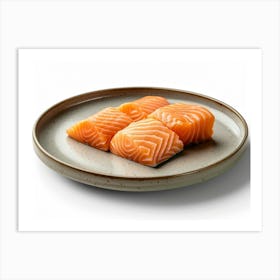 Salmon On A Plate 7 Art Print