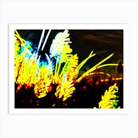 Grasses At Night Art Print