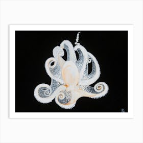 White Octopus Art Print