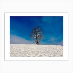 Snow Tree Art Print