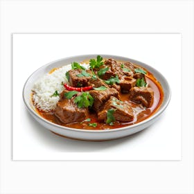 Indian Beef Curry Art Print