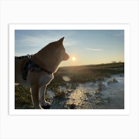 Sunset Dog 1 Art Print