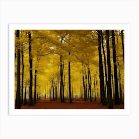 Autumn Forest 35 Art Print