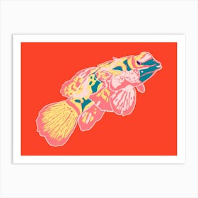 Fish Of Colours Art Print