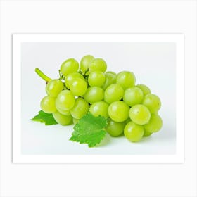 Green Grapes 10 Art Print