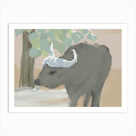 Water Buffalo Art Print