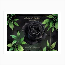 Black Rose Art Print