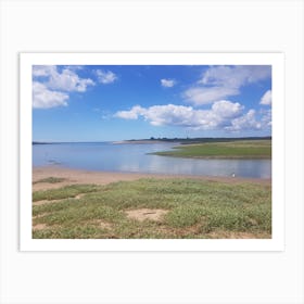 Crymlyn Burrows and Neath River Estuary Art Print