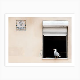 The Seagull In The Window Porto Portugal Art Print