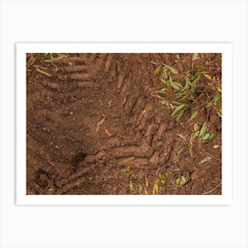 Texture Of Brown Mud With Tractor Tyre Tracks Art Print