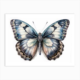 Watercolor Painting Of A Butterfly Art Print