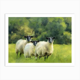 Three Sheep In A Field Art Print