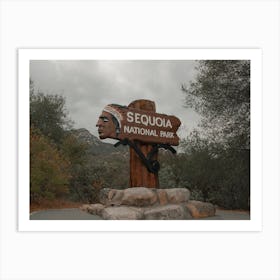 Sequoia National Park Art Print