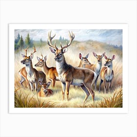 Group Of Deers In A Field Art Print