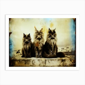 Vintage And Cats - Three Coon Cats Art Print