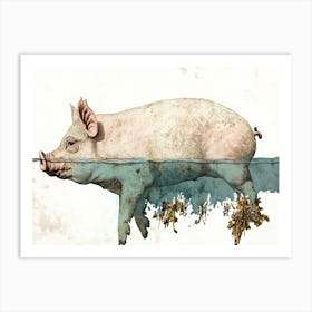 Pig In Water Art Print