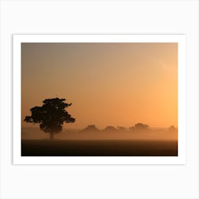 Dawn Mist - Essex England Art Print