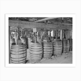 Barrels Of Perique Tobacco During Process Of Aging, Perique Tobacco Is Raised In One Parish In Louisiana, And Art Print