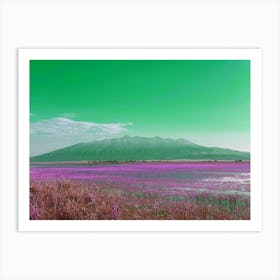 Green Mt Blanca over Lake of Pink Flowers Art Print