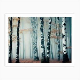 Birch Forest 86 Art Print