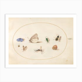 Two Butterflies With Five Other Insects, Joris Hoefnagel Art Print