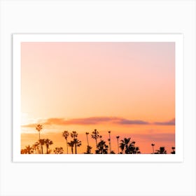Palm Tree During Vibrant Sunset Art Print