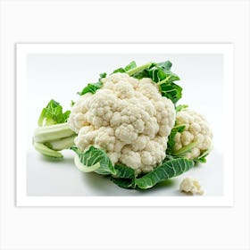 Cauliflower On White Background 5 Art Print